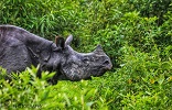 footer-widget-gallery