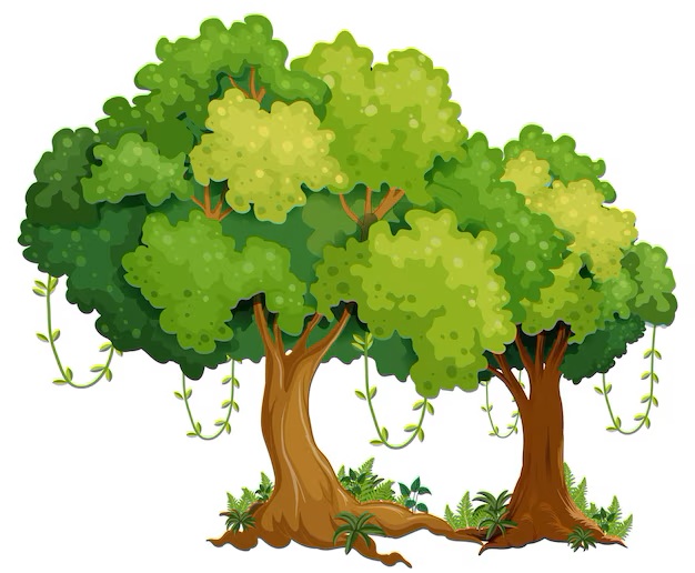 forests