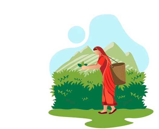 Tea Garden